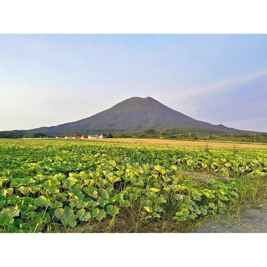 北海道コンパッションツアー 第2弾