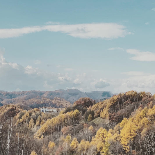 NoMaps2023 エクスカーションツアー【厚真ルート】