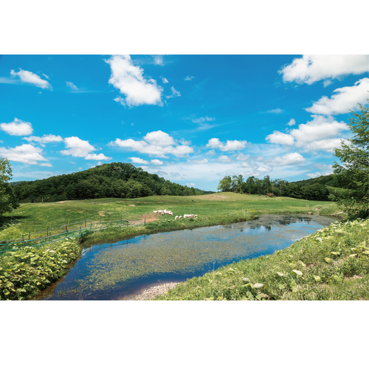 経済を、耕しに行く。 ― "食"と"資本"の新しい関係を体感するフィールドワーク